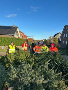 Weihnachtsbäume Team